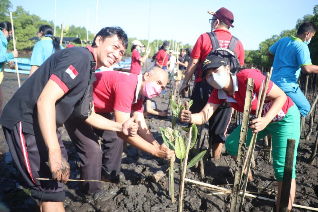 PPNI Kabupaten Badung lakukan Penanaman Pohon Mangrove